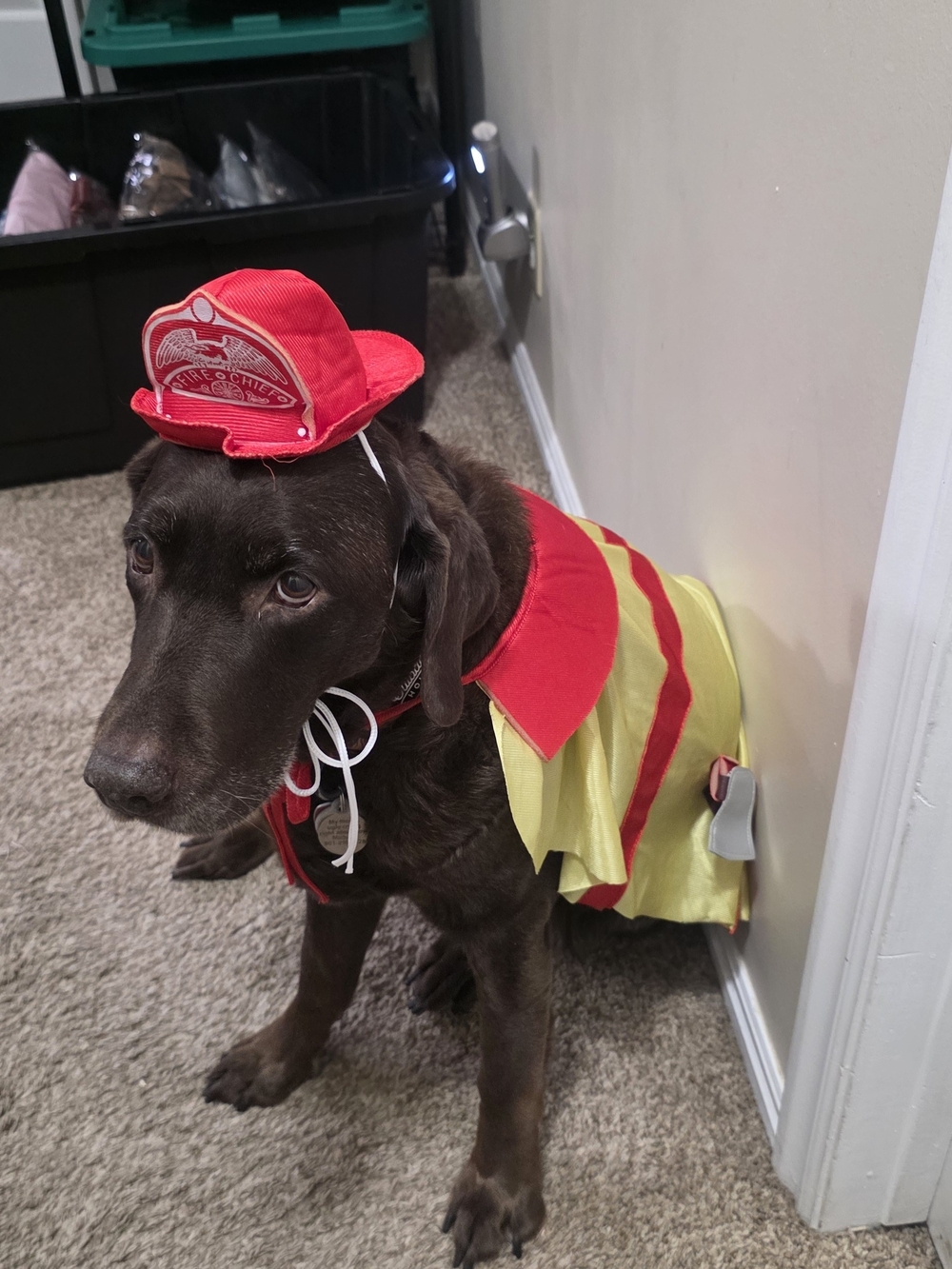 Dog Firefighter Costume - Red & Yellow Pet Outfit